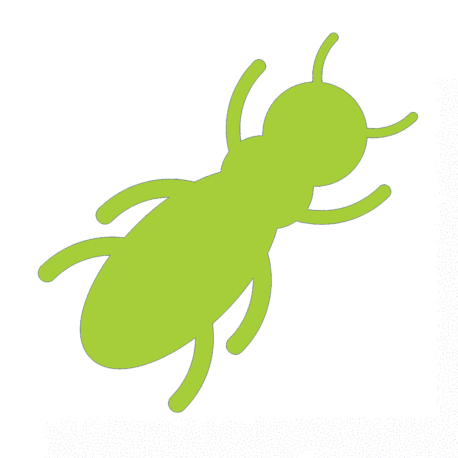 Green Termite - Building and Pest inspections