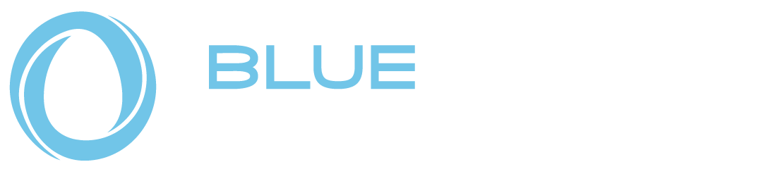 Bluewealth Property