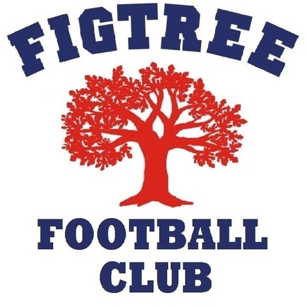 Figtree Football Club 