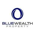 BlueWeath Property