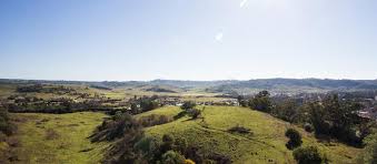 Wollondilly Council